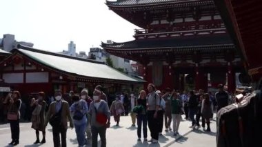 Tokyo, Japonya, 22 Kasım 2023: Tarihi bir Shinto tapınağının geniş avlusunu keşfeden turistler