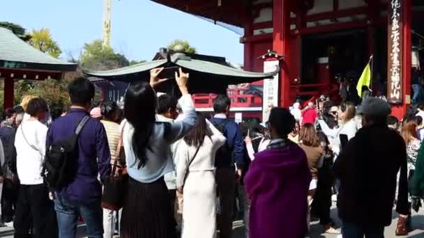 Tokyo Japon Novembre 2023 Des Individus Prient Font Des Offrandes — Video