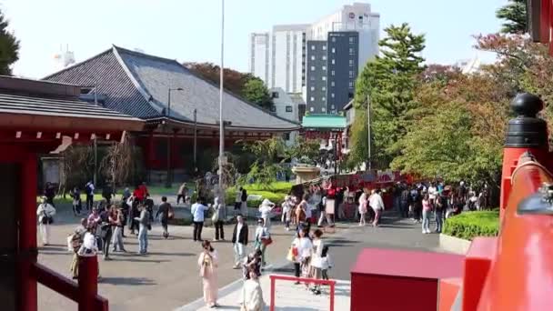 Tokyo Japan November 2023 Visitors Approaching Shinto Temple View City — Stock Video