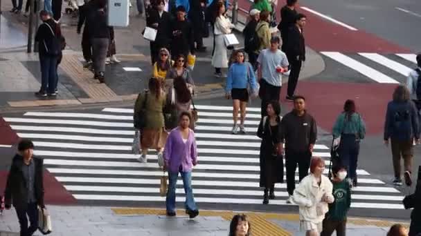 Tokio Japonsko Listopadu 2023 Chodci Přecházejí Křižovatce Shibuya — Stock video