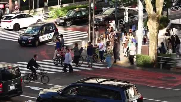 Tokio Japan November 2023 Taxi Voetgangers Een Kruispunt Tokio — Stockvideo