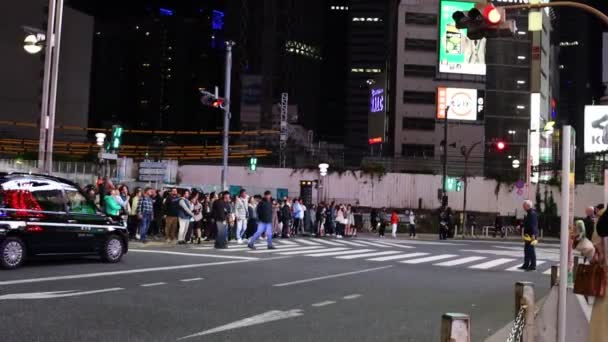 Τόκιο Ιαπωνία Νοεμβρίου 2023 Πεζοί Περιμένουν Στη Διασταύρωση Σιμπούγια Νύχτα — Αρχείο Βίντεο