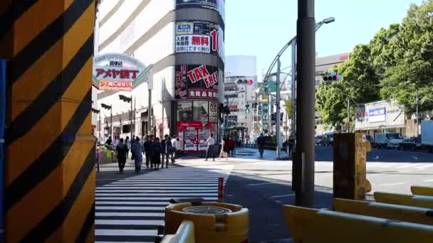 Tokyo Japon Novembre 2023 Traversée Piétonne Près Gare Ueno Avec — Video