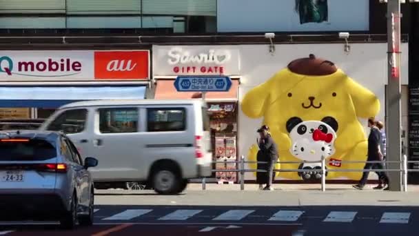 Tokio Japonsko Listopadu 2023 Obchod Suvenýry Sanrio Velkým Postavením — Stock video