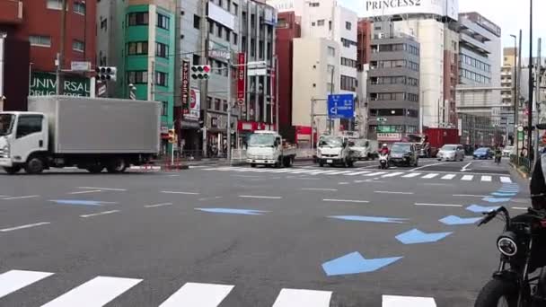 Tóquio Japão Novembro 2023 Trânsito Urbano Travessia Pedestres Área Urbana — Vídeo de Stock