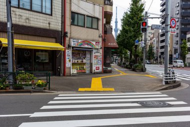 Tokyo, Japonya, 28 Ekim 2023: Tokyo 'daki yaya geçidi