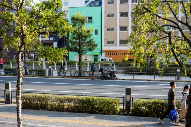 Tokyo, Japonya, 28 Ekim 2023: Yayalar ve Yeşilliklerle Sokak Manzarası