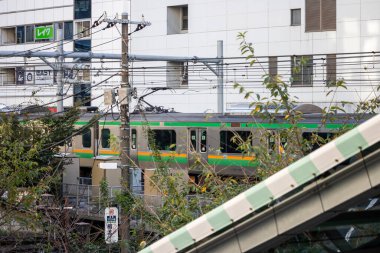 Tokyo, Japonya, 29 Ekim 2023: Yeşillik yemyeşil yerleşim bölgesinden geçen tren