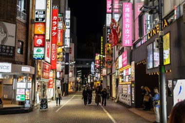 Tokyo, Japonya, 29 Ekim 2023: Geceleri Tokyo 'nun canlı caddelerinde neon ışıkları ve yayalar