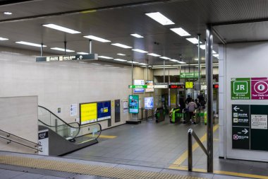 Tokyo, Japonya, 29 Ekim 2023: Tokyo Metro İstasyonu Girişinde Yolcular