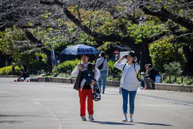 Tokyo, Japonya, 30 Ekim 2023: Şemsiyeli yayalar gün ışığında yürüyor