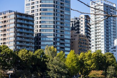 Tokyo, Japonya, 30 Ekim 2023: Şehir parkına bakan modern apartmanlar