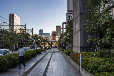 Tokyo, Japonya, 30 Ekim 2023: Yeşil ağaçları ve kentsel mimarisi olan bir şehirde kaldırım