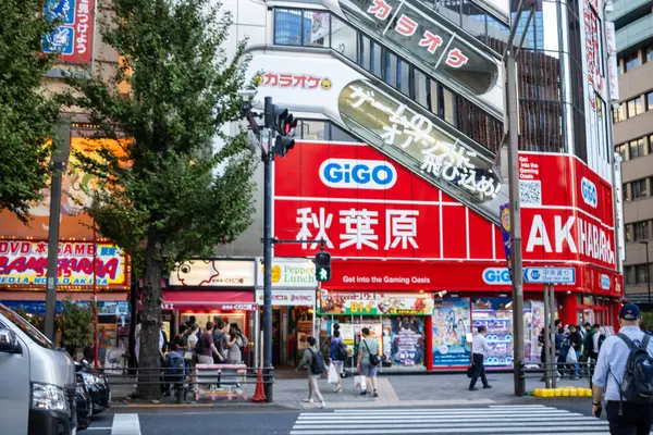 Tokyo, Japonya, 30 Ekim 2023: Renkli mağaza ilanları ve kalabalıkla dolu Akihabara ilçesi