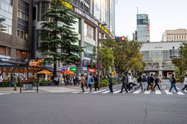 Tokyo, Japonya, 30 Ekim 2023: Tokyo 'da yaya geçidi ve alışveriş alanı yoğun