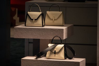 Tokyo, Japan, 31 October 2023: Luxury handbags on display in a boutique window clipart