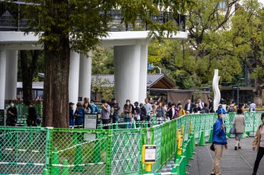 Tokyo, Japonya, 31 Ekim 2023: Tokyo tapınağının girişinde kalabalık kuyruk