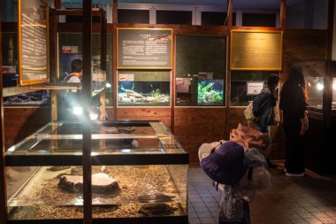 Tokyo, Japonya, 31 Ekim 2023: Müzedeki bir sergiyi ziyaret edenler