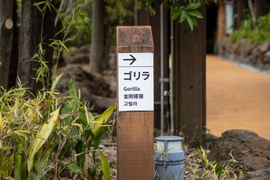 Tokyo, Japonya, 31 Ekim 2023: Hayvanat Bahçesinde Goril Yön İşareti