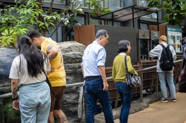 Tokyo, Japonya, 31 Ekim 2023: Hayvanat Bahçesinde Bir Sergiyi Gözlemleyen Ziyaretçiler