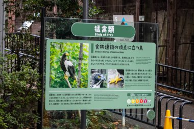 Tokyo, Japonya, 31 Ekim 2023: Kamu parkında Yırtıcı Kuşlar Hakkında Eğitim İşareti