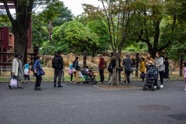 Tokyo, Japonya, 31 Ekim 2023: Tokyo parkında insanlar bir su özelliğini gözlemliyor