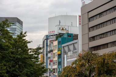 Tokyo, Japonya, 31 Ekim 2023: Çeşitli ticari binalarla kentsel ufuk çizgisi görüntüsü