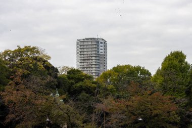 Tokyo, Japonya, 31 Ekim 2023: Sonbahar ağaçlı bir parka bakan bir yerleşim yeri manzarası