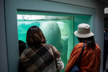 Tokyo, Japonya, 31 Ekim 2023: Kutup Ayısını İzleyen Ziyaretçiler Ueno Hayvanat Bahçesi Akvaryumu 'nda