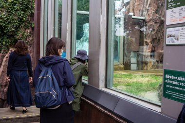 Tokyo, Japonya, 31 Ekim 2023: Hayvanat Bahçesi Ziyaretçileri Hayvan Koruma Alanı