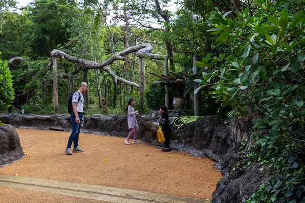 Tokyo, Japonya, 31 Ekim 2023: Aile Ueno Hayvanat Bahçesinde Günün Tadını Çıkarıyor