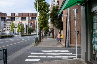 Tokyo, Japonya, 31 Ekim 2023: Sakin bir şehir caddesinde yaya geçidi