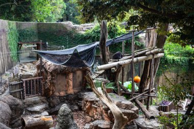 Tokyo, Japonya, 31 Ekim 2023: Ueno Hayvanat Bahçesi Ayı Koruma Alanı