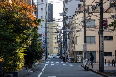 Tokyo, Japonya, 1 Kasım 2023: gür ağaçları ve elektrik hatları olan sessiz Tokyo mahallesi