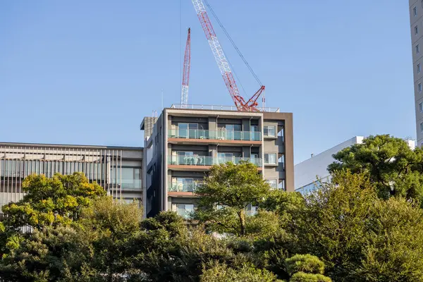 Tokyo, Japonya, 1 Kasım 2023: Tokyo kentsel bölgesinde modern binalar ve devam eden inşaat