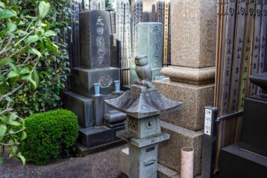 Tokyo, Japonya, 1 Kasım 2023: Huzurlu bir mezarlıkta geleneksel Japon mezar taşları