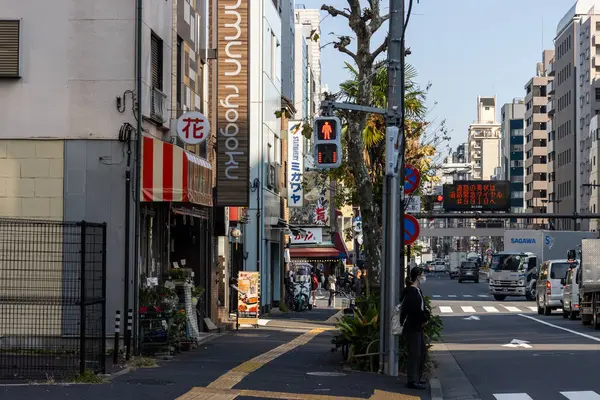 Tokyo, Japonya, 1 Kasım 2023: Çeşitli Dükkan İşaretleri ve Yayalarla Dolu Şehir Köşesi