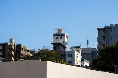 Tokyo, Japonya, 1 Kasım 2023: Tokyo Skyline 'daki Modern İnşaat ve Çatıların Uzak Görünümü