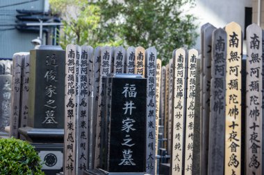 Tokyo, Japonya, 1 Kasım 2023: Geleneksel Japon mezar taşlarının sıralanması