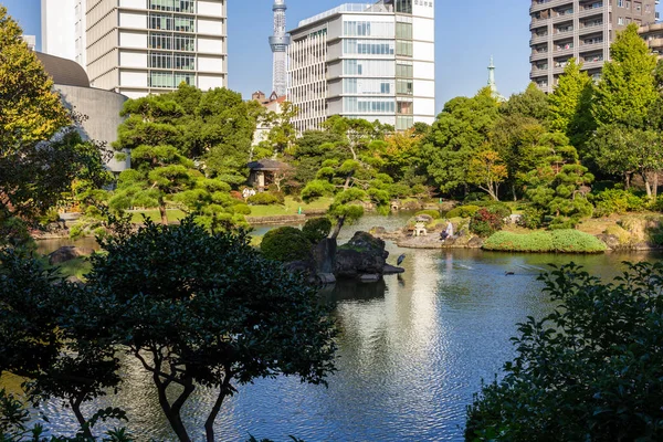 Tokyo, Japonya, 1 Kasım 2023: Modern binalı geleneksel Japon bahçesi