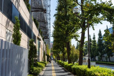 Tokyo, Japonya, 2 Kasım 2023: Tokyo 'da modern bir binanın yanındaki ağaçlık patika