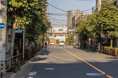 Tokyo, Japonya, 2 Kasım 2023: Lush Trees ve Clear Sky ile boş Urban Caddesi