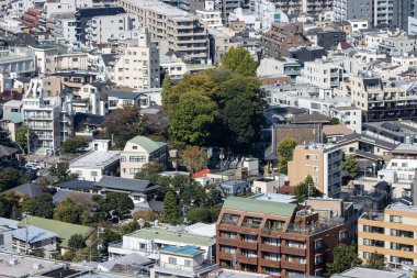 Tokyo, Japonya, 2 Kasım 2023: Yoğun yerleşim alanının havadan görünüşü