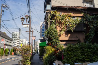 Tokyo, Japonya, 2 Kasım 2023: Yeşillikli geleneksel Japon evi