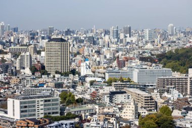Tokyo, Japonya, 2 Kasım 2023: Yoğun İnşaat ve Açık Gökyüzü Kenti