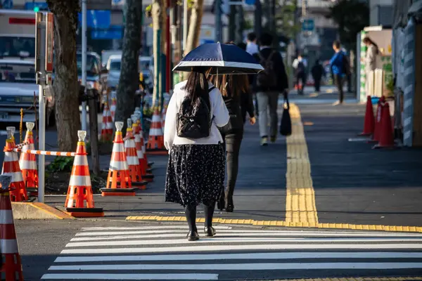 Tokyo, Japonya, 2 Kasım 2023: Şemsiye ile Caddeyi Geçen Yaya