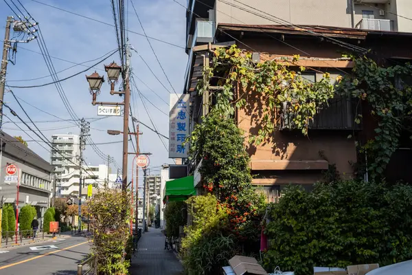 Tokyo, Japonya, 2 Kasım 2023: Yeşillikli geleneksel Japon evi