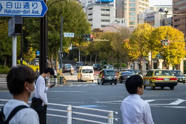 Tokyo, Japonya, 2 Kasım 2023: Hakusan-dori Bulvarı 'nda yayalar ve trafik yoğun sokak manzarası