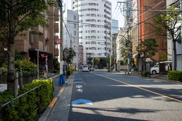 Tokyo, Japonya, 2 Kasım 2023: Tokyo 'da modern binalar ve açık bir gökyüzü ile sokak manzarası