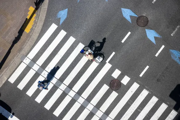 Tokyo, Japonya, 2 Kasım 2023: Kuş Gözü Manzarası 'ndan Karşıya Geçen Yayalar